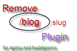 remove-blog-slug-plugin