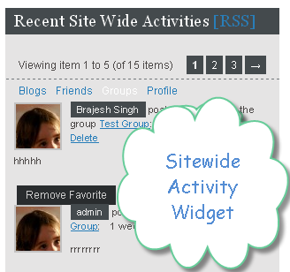 swa-widget-output
