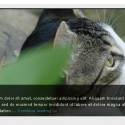 s3-slider-widget-without-title-in-bpmag theme