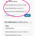 bp-notification-widget-admin