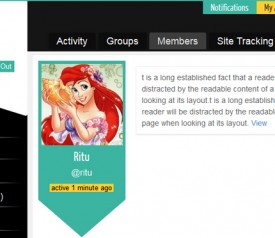 bp-magic-user-profile