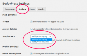 BuddyPress Template Pack setting