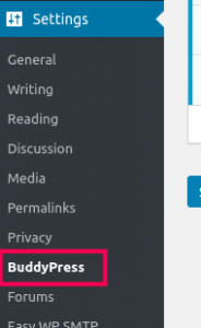 BuddyPress Settings