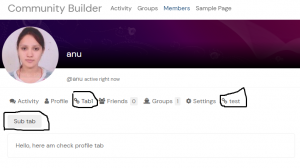 How to use BuddyPress User Profile Tab creator Pro with Community Builder