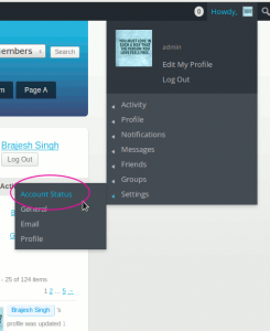 account-status-in-settings-menu-link
