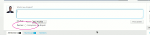 activity-posting-anonymous-option