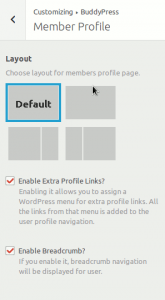 buddypress-community-builder-panel-buddypress-activity-buddypress-member-profile