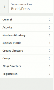 buddypress-community-builder-panel-buddypress-activity-buddypress-panel-sections