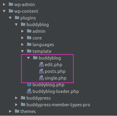 Modifying BuddyBlog Templates