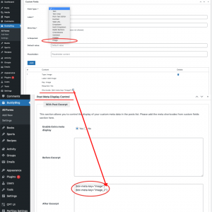 How to configure meta fields with BuddyBlog Pro