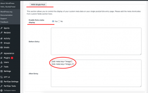 How to configure meta fields with BuddyBlog Pro