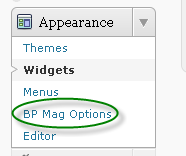 Bp Mag admin Options Link in the Appearance Menu