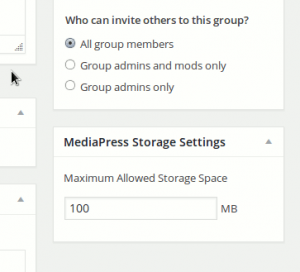 group-custom-storage-space-settings