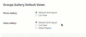 group-gallery-views-settings