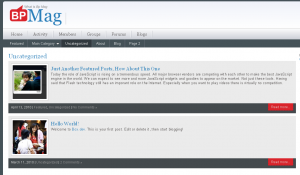 Introducing Bp Mag: A Professional Theme Framework for BuddyPress based Sites