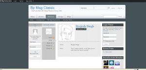 Introducing Bp Mag: A Professional Theme Framework for BuddyPress based Sites