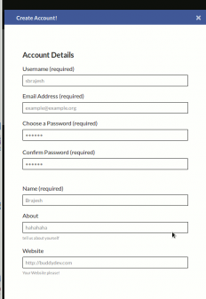 Responsive Registration modal