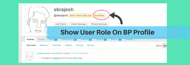 Showing User role on BuddyPress Profile