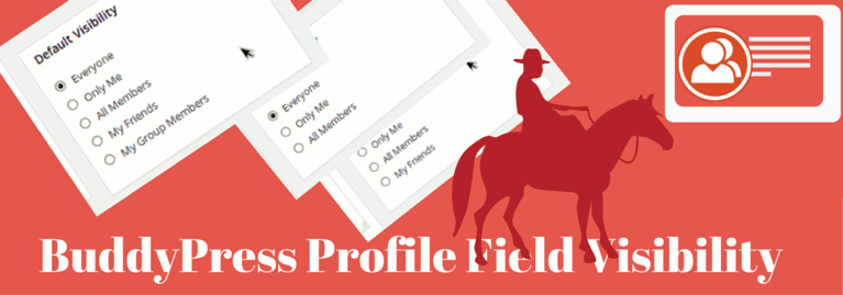 Extending BuddyPress profile field visibility