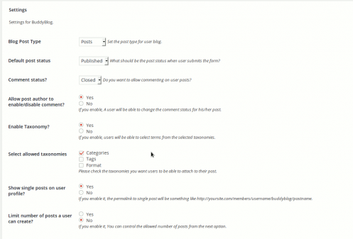 buddyblog-admin-settings