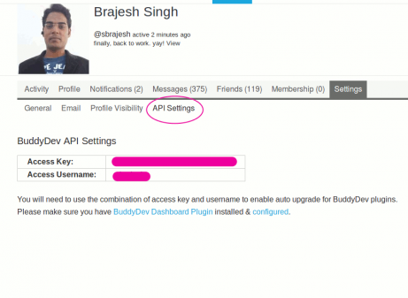 buddydev-api-key-access