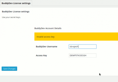 API Key Settings