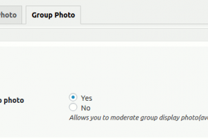 BuddyPress Abvatar Moderator groups General settings