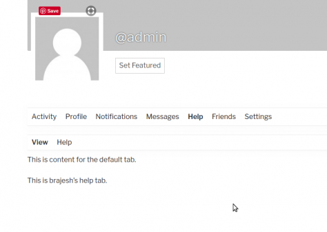 Create Dynamic User Profile Tabs for BuddyPress