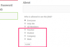 BuddyPress Member Types as profile visibility levels on profile edit page
