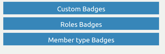 Admin Badges Screen