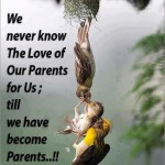 Profile picture of srikanththota4u