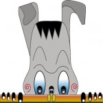 Profile picture of warter