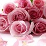 Profile picture of sharmaneha