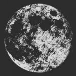 Profile picture of D T