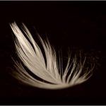 Profile picture of Omar