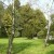 Profile picture of pierrealexandre21